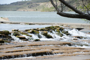 Water Quality Photo #5